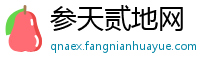 参天贰地网